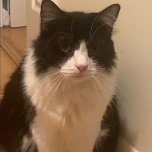 Meet your Posher, Leshia